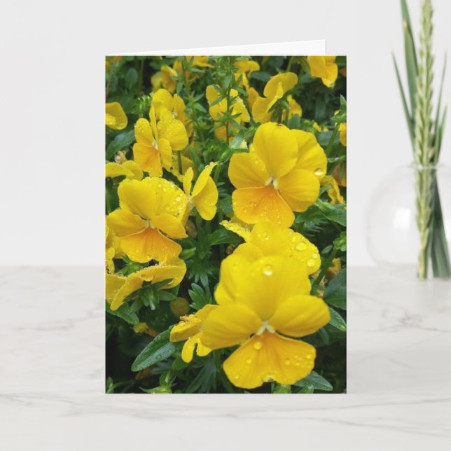 ***FELIZ ANIVERSARIO** TARJETA HERMANA Y DE MARIDO (Anverso)