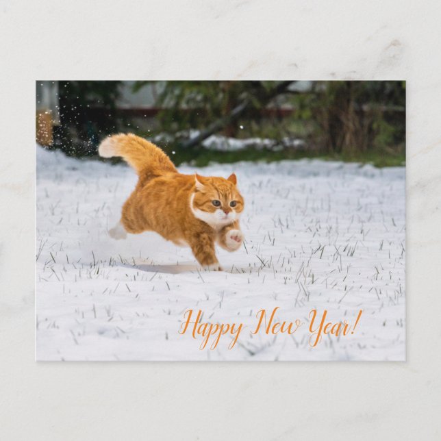 Feliz año nuevo con la tarjeta de un gato lindo (Anverso)