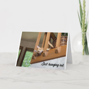 "FELIZ AÑO NUEVO" DE TARJETA DE GATO COLGANDO