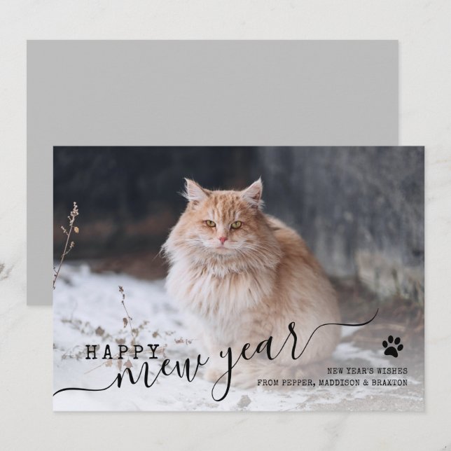 Feliz año nuevo, foto de gato, tarjeta de vacacion (Anverso / Reverso)