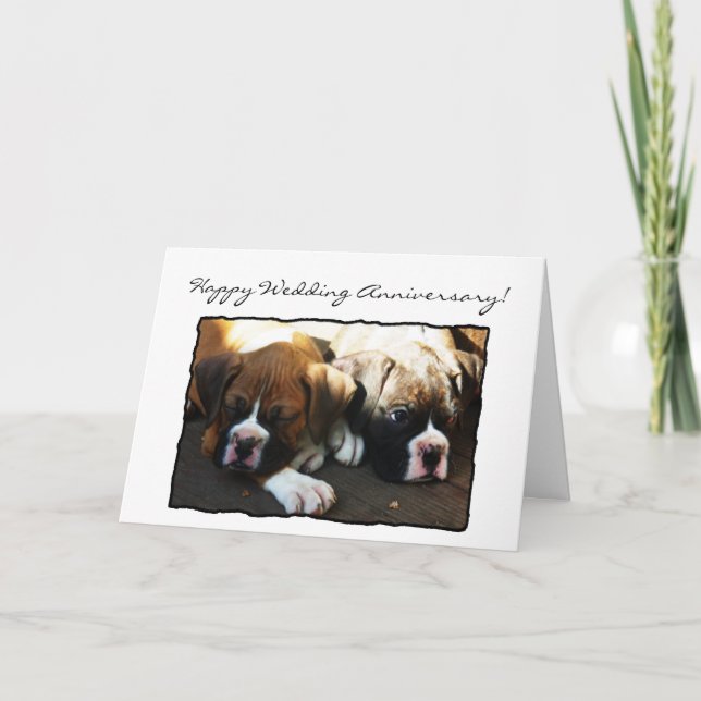 Feliz Boda Aniversario Boxer tarjeta de bienvenida (Anverso)