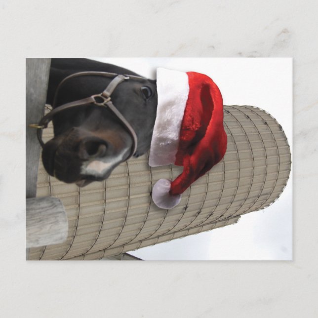 Feliz caballo de Navidad con Santa Hat (Anverso)