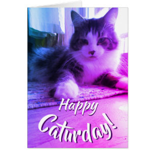 Feliz Caturday Cute Purple Cat