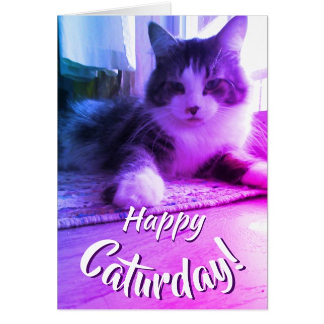 Feliz Caturday Cute Purple Cat (Frente)
