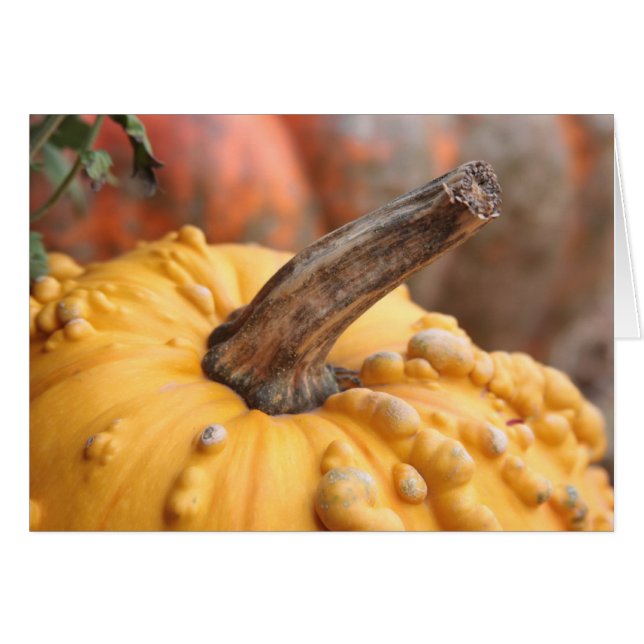 ¡Feliz cosecha! (Anverso (Horizontal))