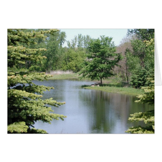 Feliz cumpleaños (Anverso (Horizontal))