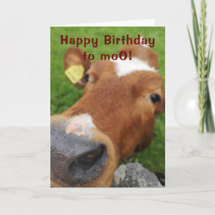 Feliz cumpleaños a la tarjeta de saludo de moo