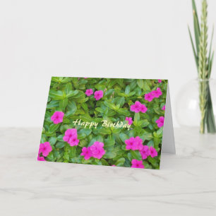 Feliz cumpleaños a los rosados de las tarjetas cri
