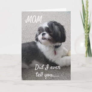 **FELIZ *CUMPLEAÑOS* A MI TARJETA *MADRE*