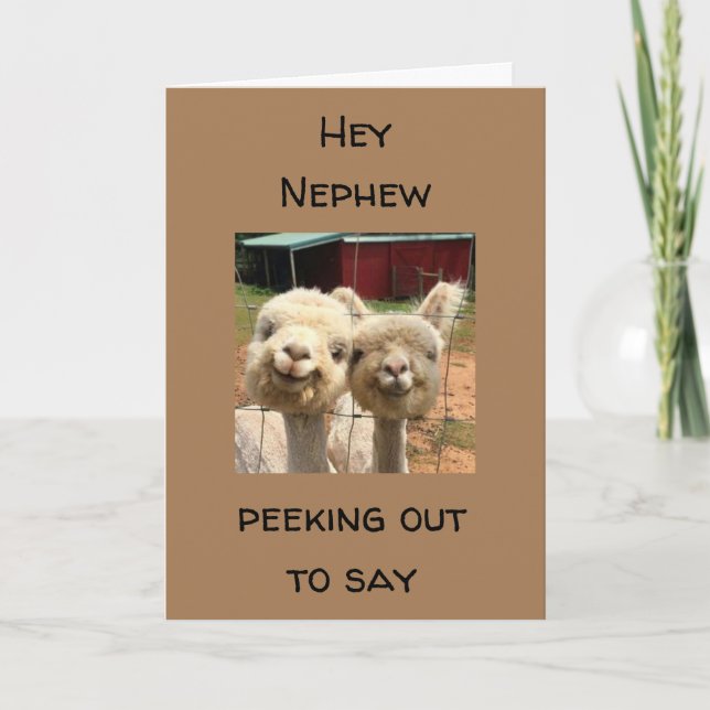 FELIZ *CUMPLEAÑOS* A MI TARJETA *NEPHEW* (Anverso)