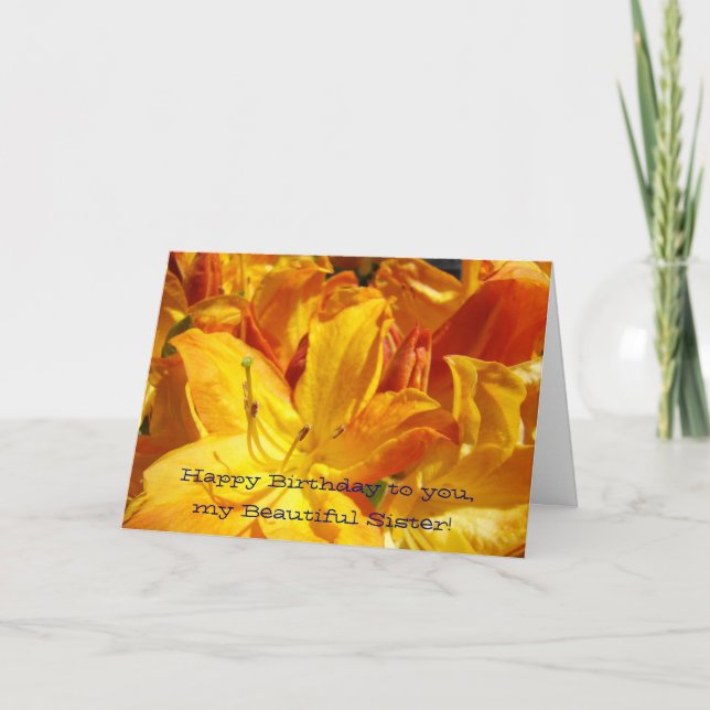 Feliz Cumpleaños a ti Mi Hermana Hermosa! Tarjetas (Anverso)
