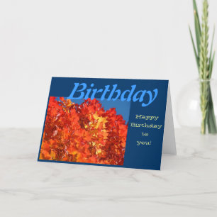 Feliz Cumpleaños a Ti! Tarjetas de Felicitación Ho