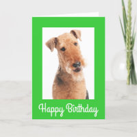 Feliz cumpleaños Airedale Terrier Dog Tarjeta de f