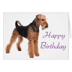 Feliz cumpleaños Airedale Terrier Perro cachorro m