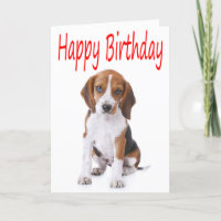 Feliz cumpleaños Beagle Puppy Dog, tarjeta de salu