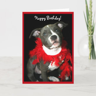 Feliz cumpleaños Blue Pitbull Puppy tarjeta de bie