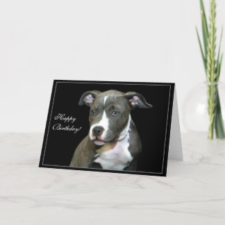 Feliz cumpleaños Blue Pitbull Puppy tarjeta de bie