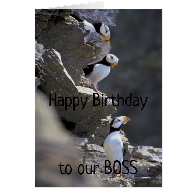 Feliz cumpleaños Boss Cute Puffin Birds Humor anim (Frente)