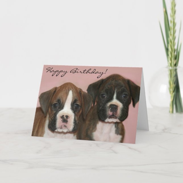 Feliz cumpleaños Boxer Puppies tarjeta de saludo (Anverso)