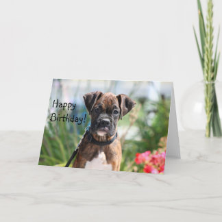 Feliz cumpleaños Boxer tarjeta de felicitación