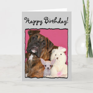 Feliz cumpleaños Boxer y tarjeta de saludo chihuah