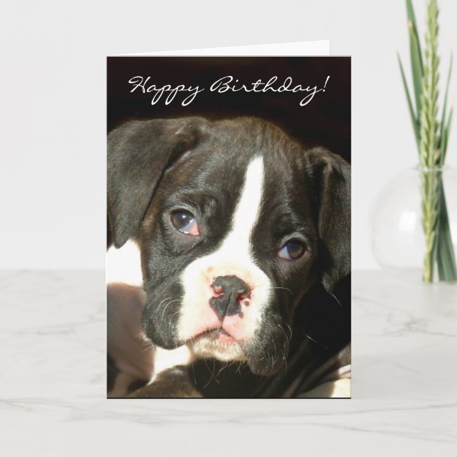 Feliz cumpleaños Brindle boxer tarjeta de saludo d (Anverso)