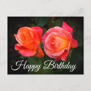 Feliz Cumpleaños Broadway Rose #1 Tarjeta Postal