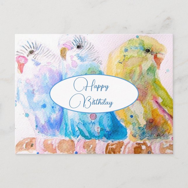 Feliz Cumpleaños Budgie Tarjeta Postal de Pájaros (Anverso)