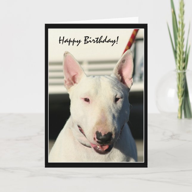 Feliz cumpleaños Bull Terrier tarjeta de saludo (Anverso)