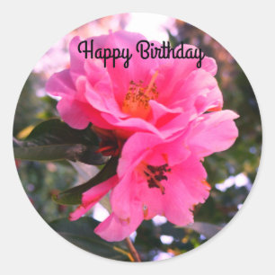 Feliz cumpleaños Camellia Rosa #2-2 Pegatinas