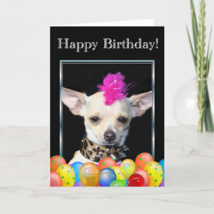 Feliz cumpleaños Chihuahua Punk tarjeta de saludo