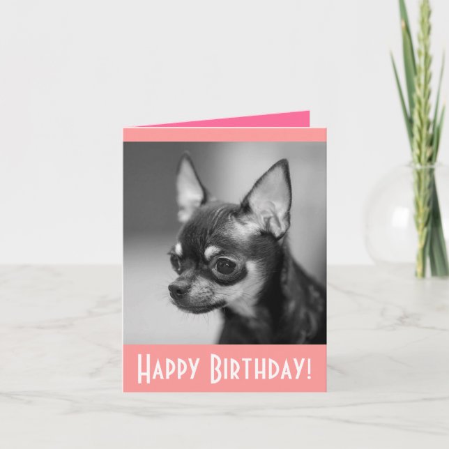Feliz cumpleaños Chihuahua Puppy Dog Tarjeta de sa (Anverso)