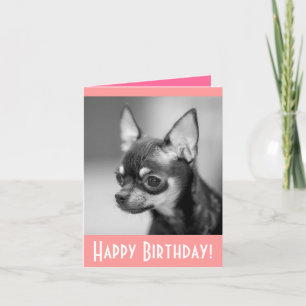 Feliz cumpleaños Chihuahua Puppy Dog Tarjeta de sa