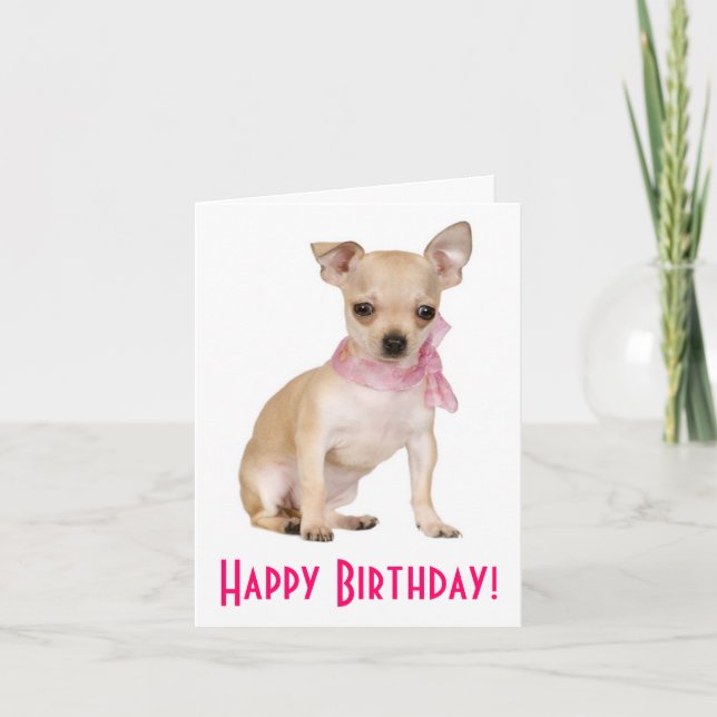 Feliz cumpleaños Chihuahua Puppy Dog Tarjeta de sa (Anverso)