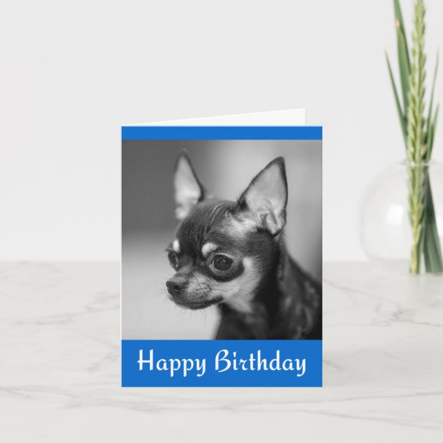 Feliz cumpleaños Chihuahua Puppy Dog Tarjeta de sa (Anverso)