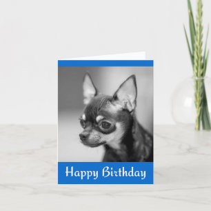 Feliz cumpleaños Chihuahua Puppy Dog Tarjeta de sa