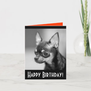 Feliz cumpleaños Chihuahua Puppy Dog Tarjeta de sa
