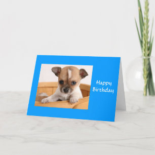 Feliz cumpleaños Chihuahua Puppy Tarjeta de felici