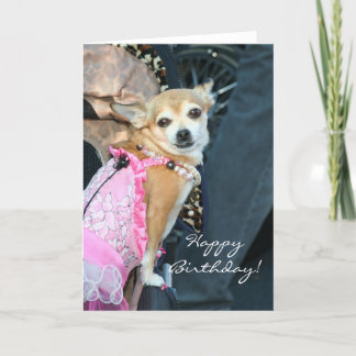 Feliz cumpleaños Chihuahua tarjeta de saludo