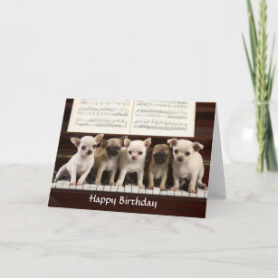Feliz cumpleaños Chihuahua, tarjeta de saludo de p