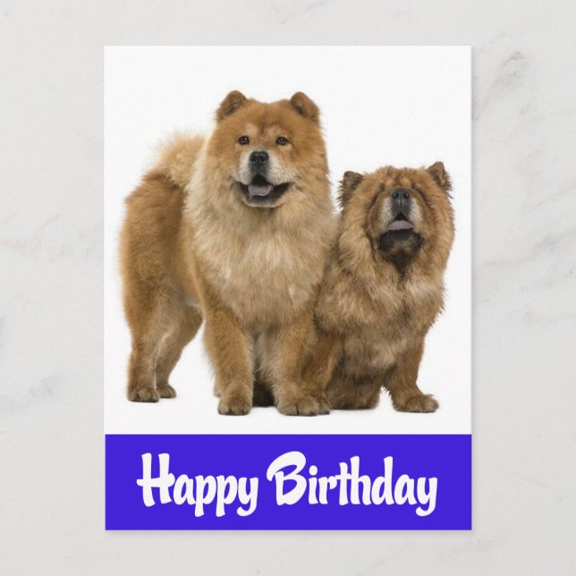 Feliz cumpleaños, Chow Chow, postal de perros copi (Anverso)