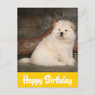 Feliz cumpleaños Chow Chow Puppy Perro tarjeta ama