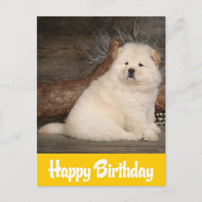 Feliz cumpleaños Chow Chow Puppy Perro tarjeta ama (Anverso)