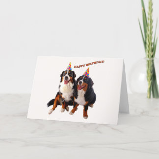 Feliz cumpleaños con tarjeta bernese