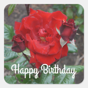 Feliz cumpleaños Crimson Bouquet Rosa #1 Pegatinas