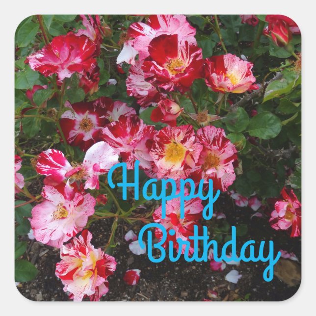 Feliz cumpleaños, cuatro de julio Rosa #1 Pegatina (Anverso)