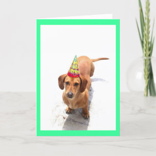 Feliz cumpleaños Dachshund tarjeta de saludo