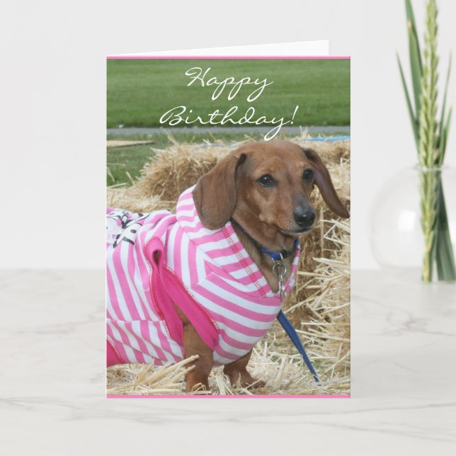 Feliz cumpleaños Dachshund tarjeta de saludo (Anverso)