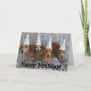 Feliz cumpleaños Dachshund tarjeta de saludo