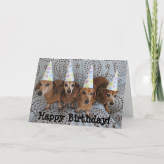 Feliz cumpleaños Dachshund tarjeta de saludo
